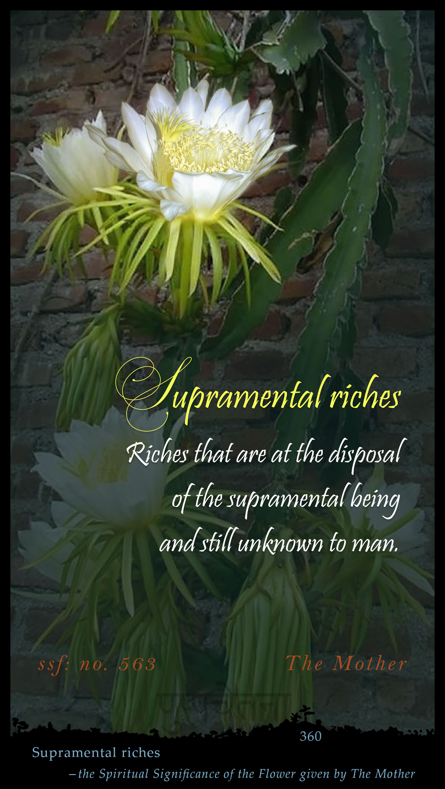 Supramental Riches